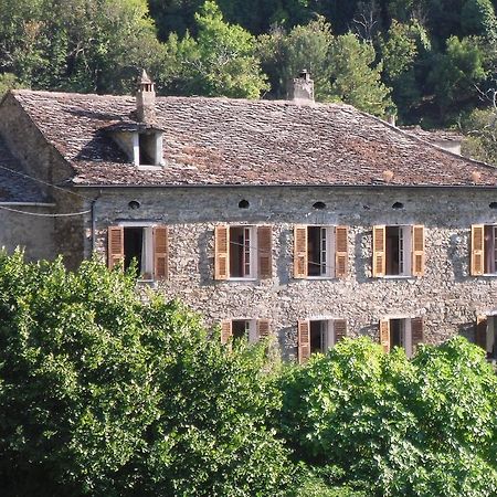 Chambre D'Hotes La Marlotte Castello-di-Rostino Luaran gambar