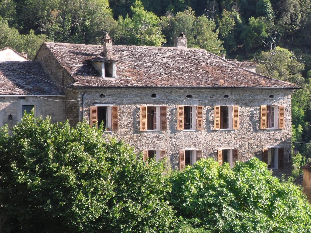 Chambre D'Hotes La Marlotte Castello-di-Rostino Luaran gambar